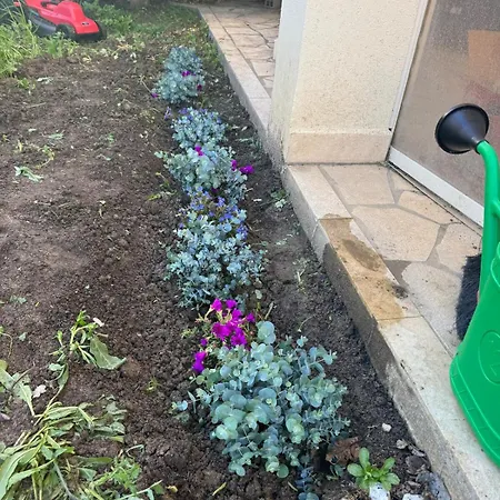 La Casa Blu - *